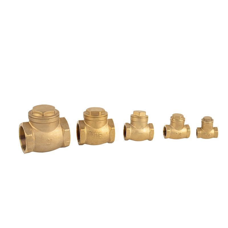 Brass Epdm Sigillum Swing Check Valve