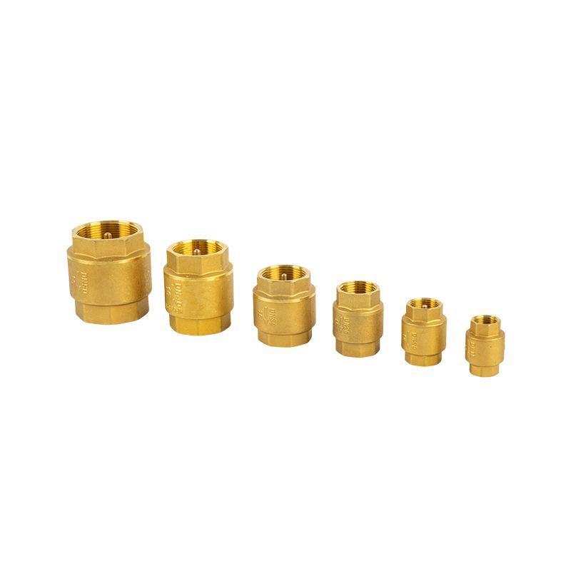 Aes Universal Check Valve Single Flow