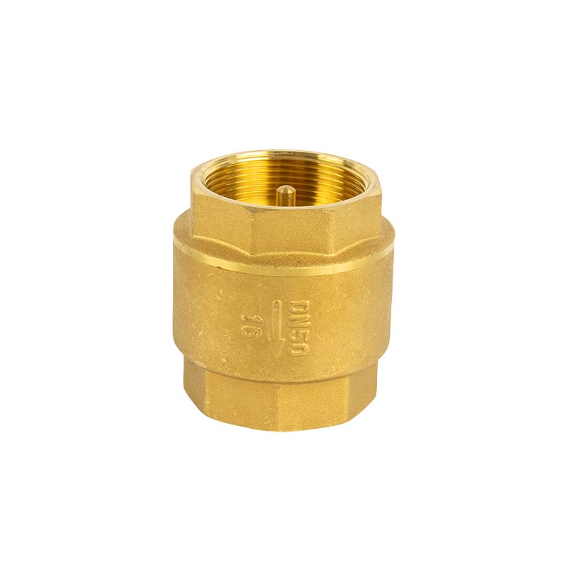 High quality Brass Universal Check Valve